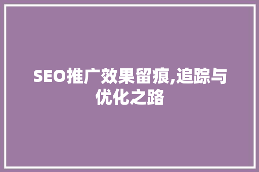 SEO推广效果留痕,追踪与优化之路 SEO关键词