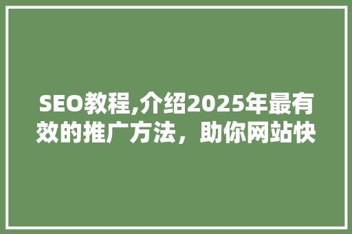 SEO教程,介绍2025年最有效的推广方法，助你网站快速崛起！