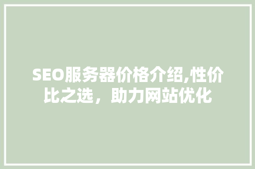 SEO服务器价格介绍,性价比之选，助力网站优化