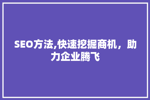 SEO方法,快速挖掘商机，助力企业腾飞