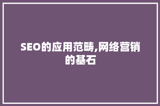 SEO的应用范畴,网络营销的基石 SEO关键词