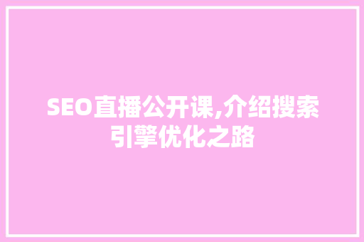 SEO直播公开课,介绍搜索引擎优化之路