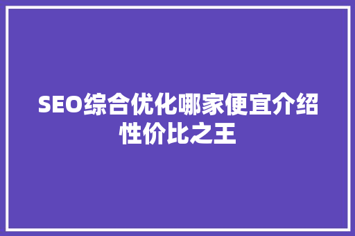 SEO综合优化哪家便宜介绍性价比之王