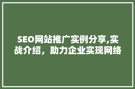 SEO网站推广实例分享,实战介绍，助力企业实现网络营销新突破 必应SEO