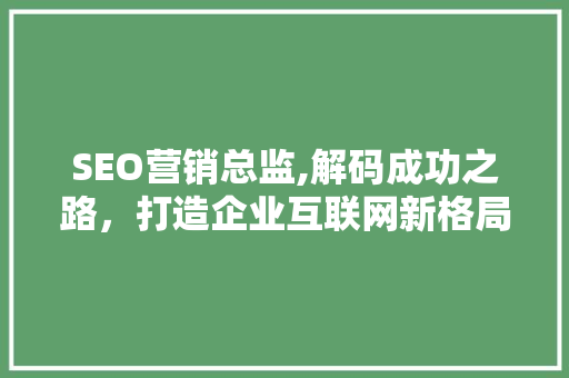 SEO营销总监,解码成功之路，打造企业互联网新格局