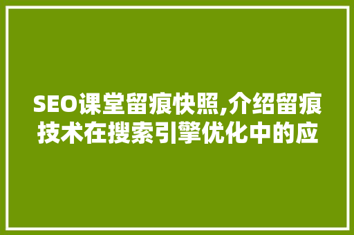 SEO课堂留痕快照,介绍留痕技术在搜索引擎优化中的应用与价值