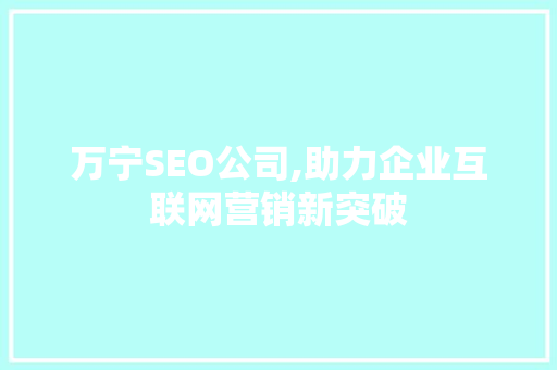 万宁SEO公司,助力企业互联网营销新突破