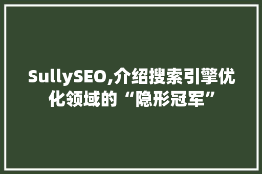 SullySEO,介绍搜索引擎优化领域的“隐形冠军” 百度SEO