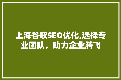 上海谷歌SEO优化,选择专业团队，助力企业腾飞