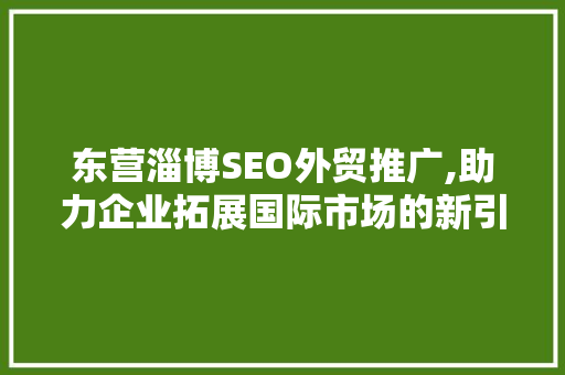 东营淄博SEO外贸推广,助力企业拓展国际市场的新引擎 神马SEO
