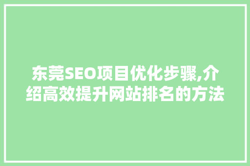 东莞SEO项目优化步骤,介绍高效提升网站排名的方法 网站建设公司
