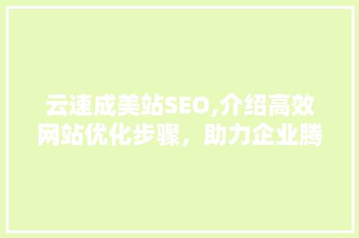 云速成美站SEO,介绍高效网站优化步骤，助力企业腾飞 网站建设公司