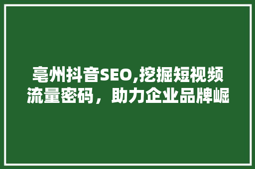 亳州抖音SEO,挖掘短视频流量密码，助力企业品牌崛起