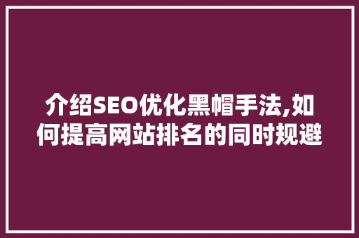 介绍SEO优化黑帽手法,如何提高网站排名的同时规避风险