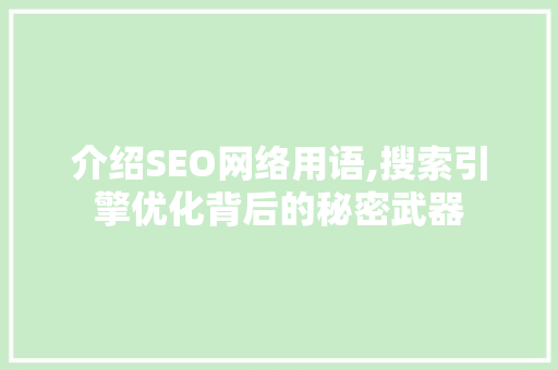 介绍SEO网络用语,搜索引擎优化背后的秘密武器 百度SEO