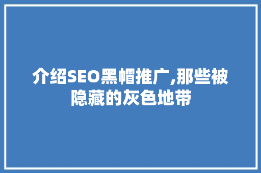 介绍SEO黑帽推广,那些被隐藏的灰色地带