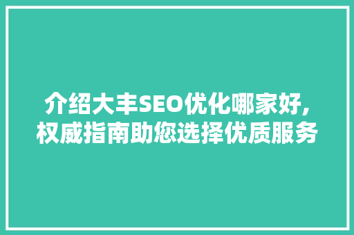 介绍大丰SEO优化哪家好,权威指南助您选择优质服务商 网站建设公司