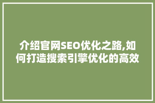 介绍官网SEO优化之路,如何打造搜索引擎优化的高效能平台