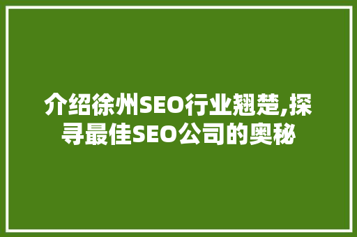 介绍徐州SEO行业翘楚,探寻最佳SEO公司的奥秘 百度SEO