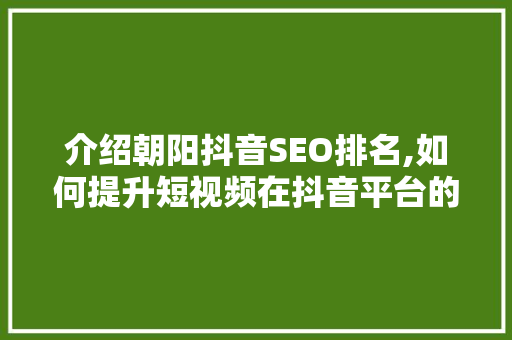 介绍朝阳抖音SEO排名,如何提升短视频在抖音平台的影响力 神马SEO