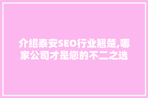 介绍泰安SEO行业翘楚,哪家公司才是您的不二之选 百度SEO