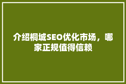 介绍桐城SEO优化市场，哪家正规值得信赖 神马SEO