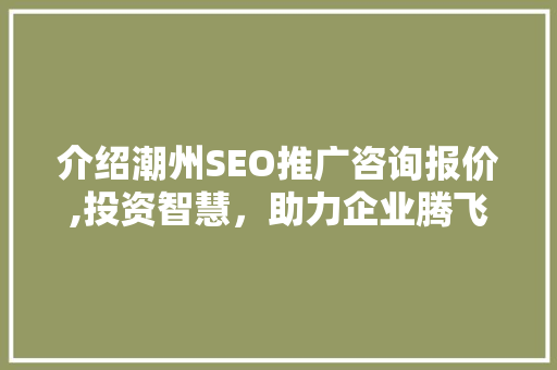 介绍潮州SEO推广咨询报价,投资智慧，助力企业腾飞