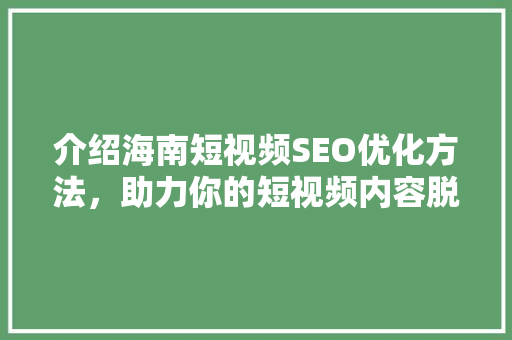 介绍海南短视频SEO优化方法，助力你的短视频内容脱颖而出！ 网站建设公司