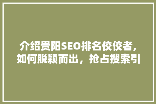介绍贵阳SEO排名佼佼者,如何脱颖而出，抢占搜索引擎高地