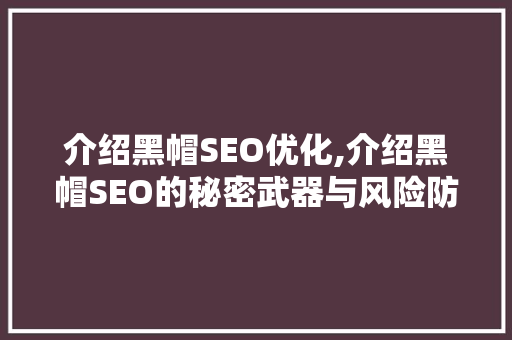 介绍黑帽SEO优化,介绍黑帽SEO的秘密武器与风险防范 百度SEO