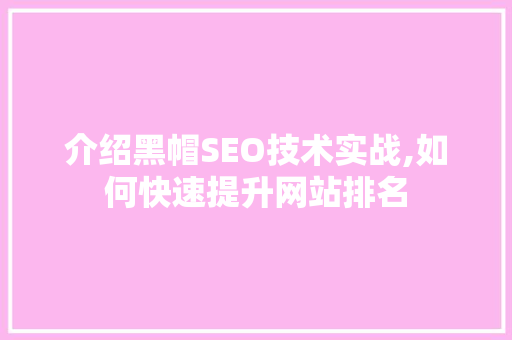 介绍黑帽SEO技术实战,如何快速提升网站排名 SEO关键词