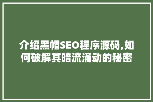 介绍黑帽SEO程序源码,如何破解其暗流涌动的秘密