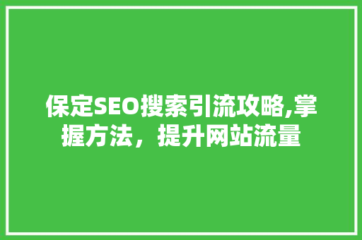 保定SEO搜索引流攻略,掌握方法，提升网站流量 神马SEO