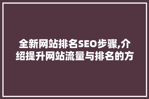 全新网站排名SEO步骤,介绍提升网站流量与排名的方法 神马SEO