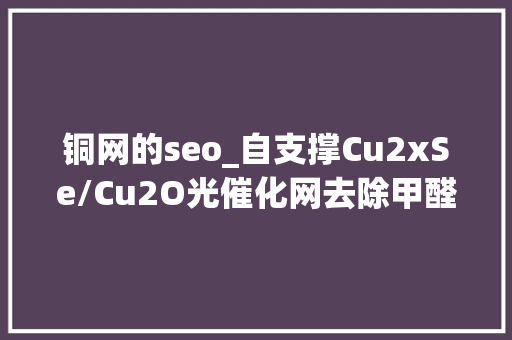 铜网的seo_自支撑Cu2xSe/Cu2O光催化网去除甲醛研究及应用 铜网的seo_自支撑Cu2xSe/Cu2O光催化网去除甲醛研究及应用 网站建设公司