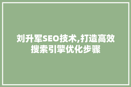 刘升军SEO技术,打造高效搜索引擎优化步骤 必应SEO