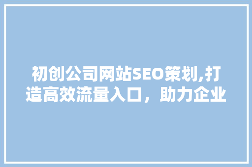 初创公司网站SEO策划,打造高效流量入口，助力企业腾飞 百度SEO