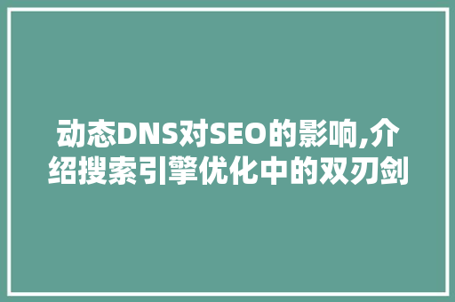 动态DNS对SEO的影响,介绍搜索引擎优化中的双刃剑