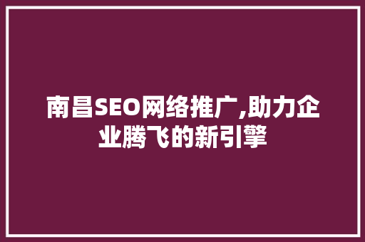 南昌SEO网络推广,助力企业腾飞的新引擎 网站建设公司