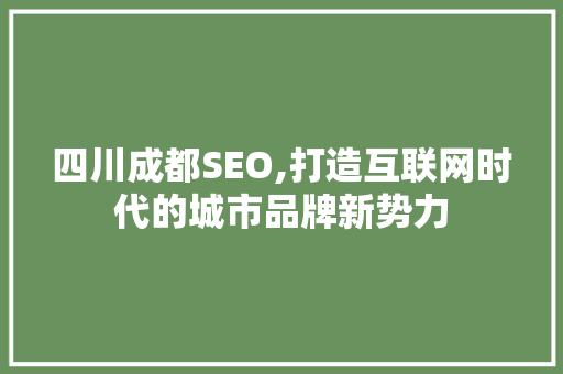 四川成都SEO,打造互联网时代的城市品牌新势力 神马SEO