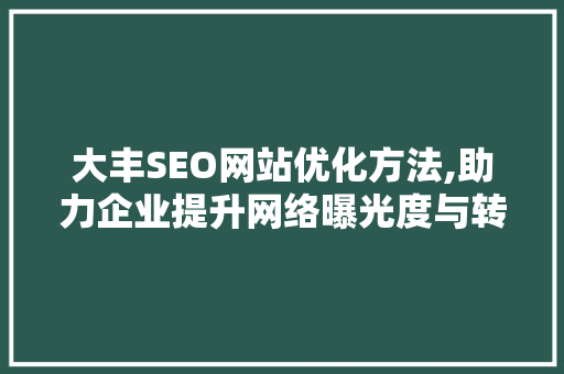 大丰SEO网站优化方法,助力企业提升网络曝光度与转化率 必应SEO
