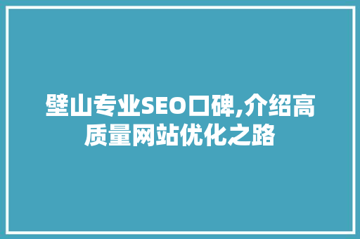 壁山专业SEO口碑,介绍高质量网站优化之路 百度SEO