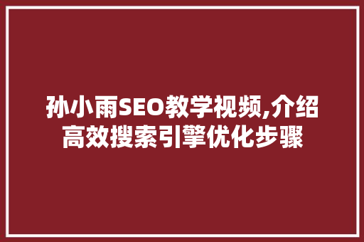 孙小雨SEO教学视频,介绍高效搜索引擎优化步骤 百度SEO
