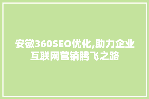 安徽360SEO优化,助力企业互联网营销腾飞之路
