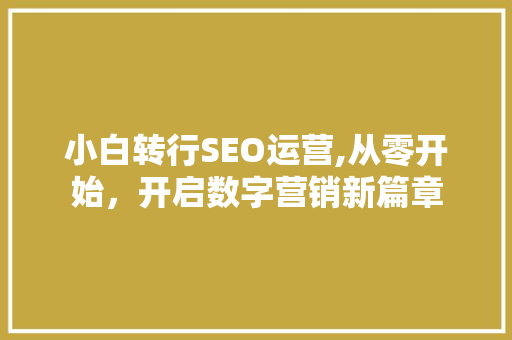 小白转行SEO运营,从零开始，开启数字营销新篇章