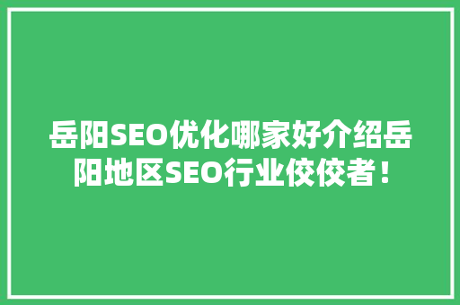 岳阳SEO优化哪家好介绍岳阳地区SEO行业佼佼者！