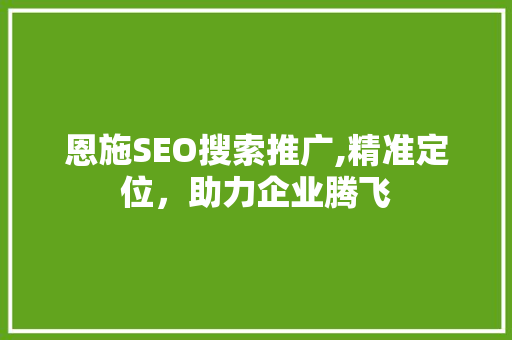 恩施SEO搜索推广,精准定位，助力企业腾飞