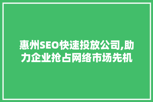 惠州SEO快速投放公司,助力企业抢占网络市场先机