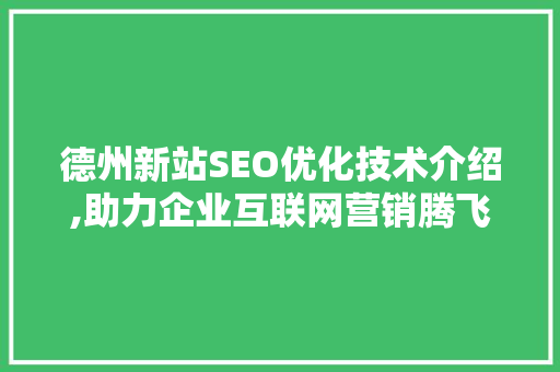 德州新站SEO优化技术介绍,助力企业互联网营销腾飞