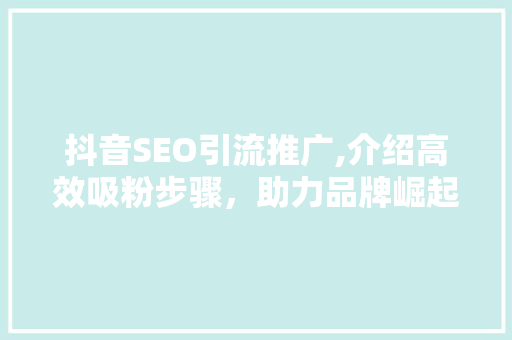 抖音SEO引流推广,介绍高效吸粉步骤，助力品牌崛起！ 神马SEO